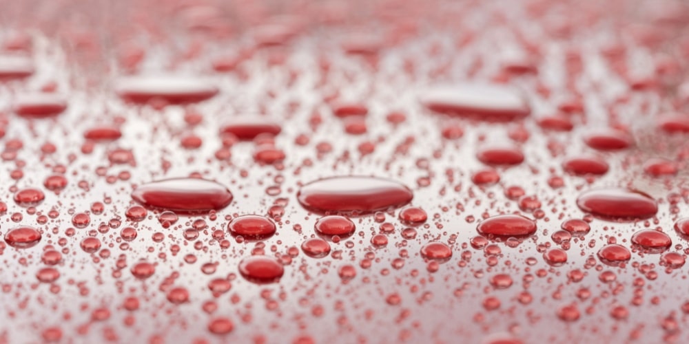 Paint Sealants for Car Paint Maintenance